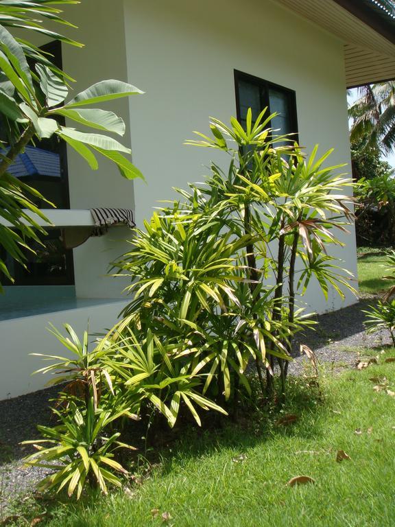 Baan Kuasakul Resort Mae Nam Zewnętrze zdjęcie