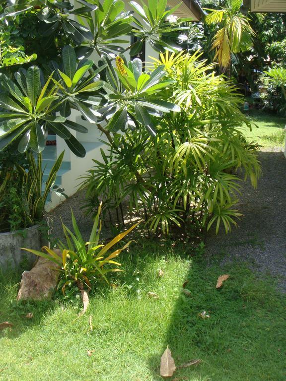 Baan Kuasakul Resort Mae Nam Zewnętrze zdjęcie